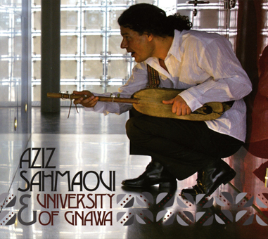 アジズ・サハマウイ<br>グナワ大学