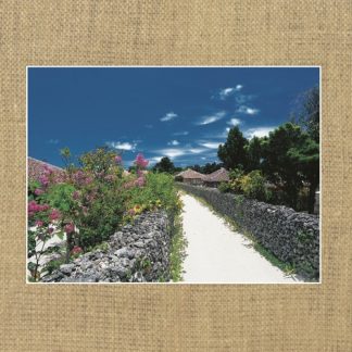 大工哲弘<br>八重山歌謡全集