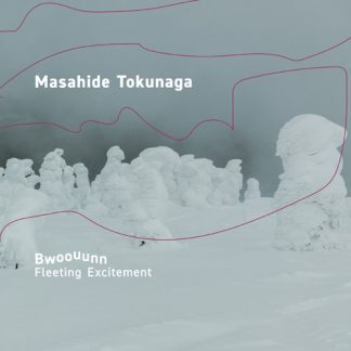 徳永将豪<br>Bwoouunn: Fleeting Excitement