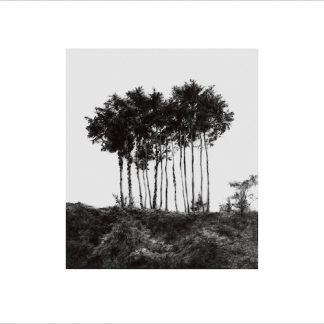 AKIRA OGAWA<br>On [穏]