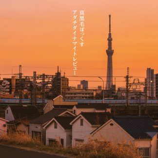 真黒毛ぼっくす<br>アダチダイナマイトレビュー