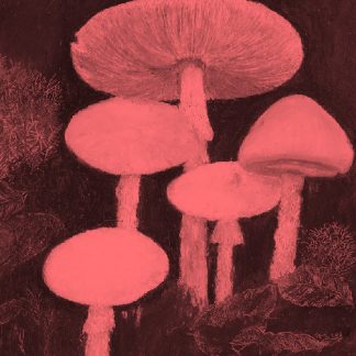 biobiopatata<br>DIRT OF LOVE