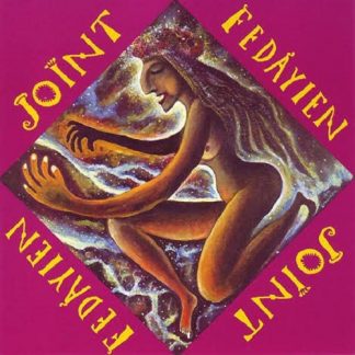 フェダイン(FEDAYIEN) & 南正人<br>ジョイント