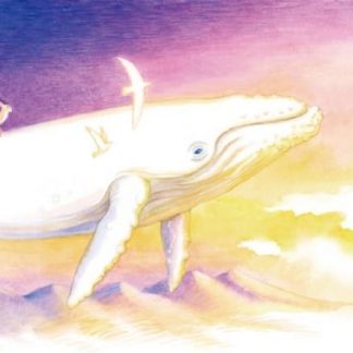 ＮＡＯ<br>Earth Ship